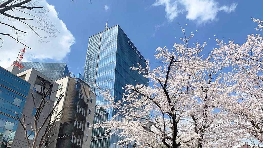 東京電子専門学校